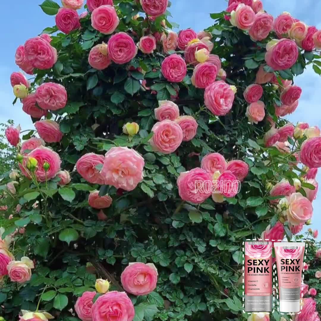 2pcs Women's Rose Intimate Cream, for Dry, Dull, Itchy, and Odorous Intimate Areas, Deeply Moisturizes, Hydrates, Firms & Softens Delicate Skin, Gentle and Non-irritating, Brightens Skin, Revitalizes, for a More Radiant Glow, Improves Dryness - Image 11